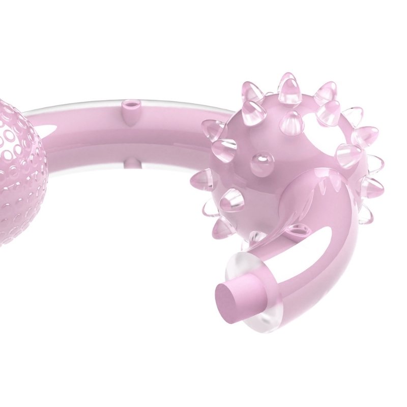 Anneau pour chiens, parfum de noix de coco, rose, diam. 15 cm (6 po) – Zeus Duo – Image 3