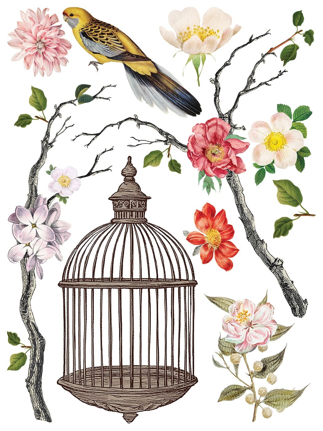 Menagerie- Transfert IOD – 30,48×40,64cm – Image 5